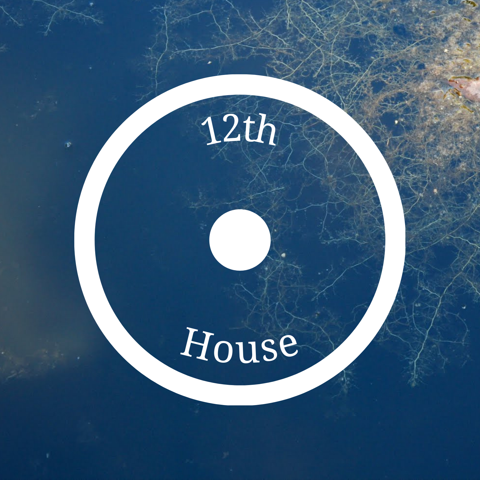 Sun in the 12th House